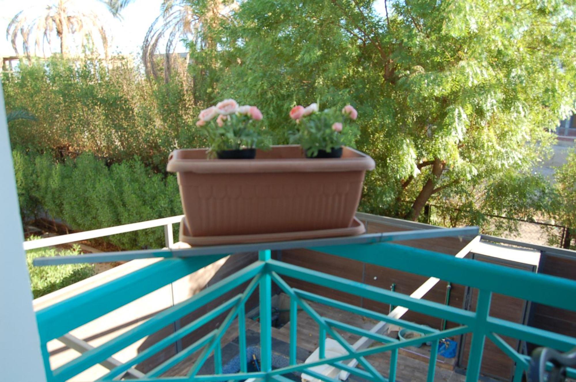 Naama Bay Luxury Stylish Entire Flat With En-Suit Rooms -Centre Of Sharm Exteriör bild
